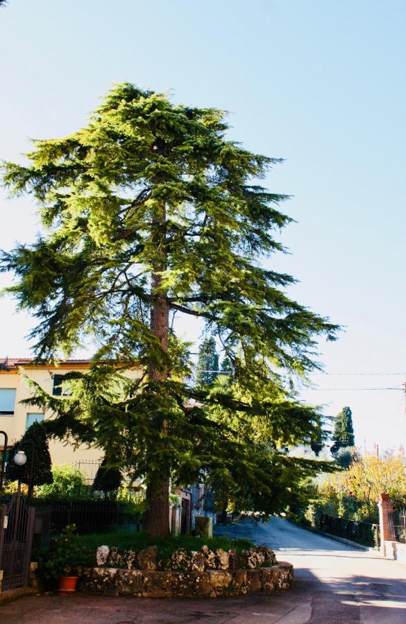 La Torre Di Caprera Apartment Siena Luaran gambar